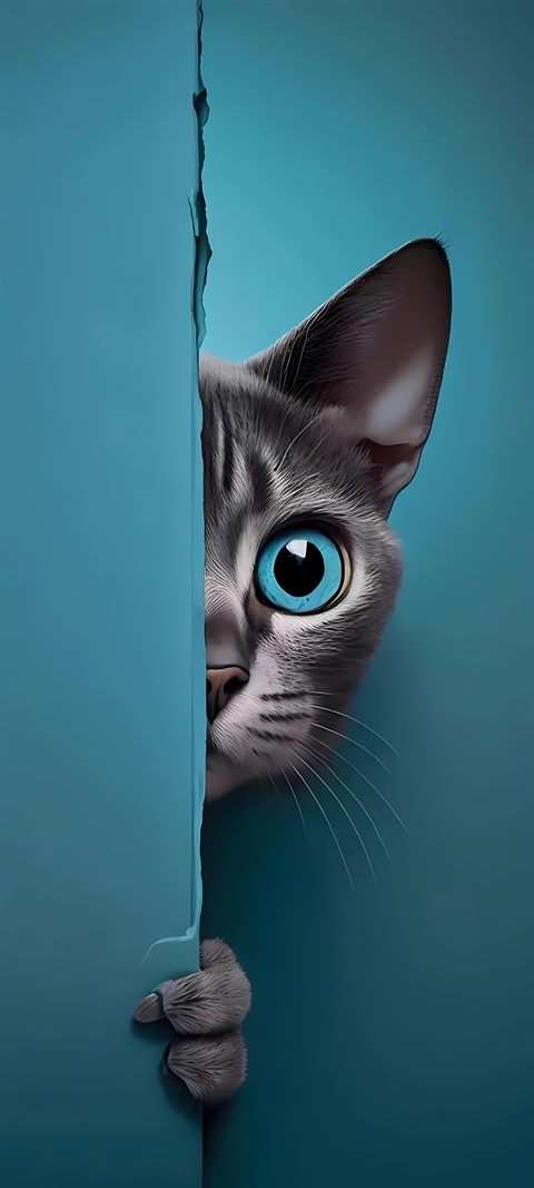 Phone Wallpaper: Motiv 01